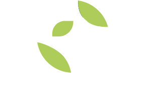 Fructifica